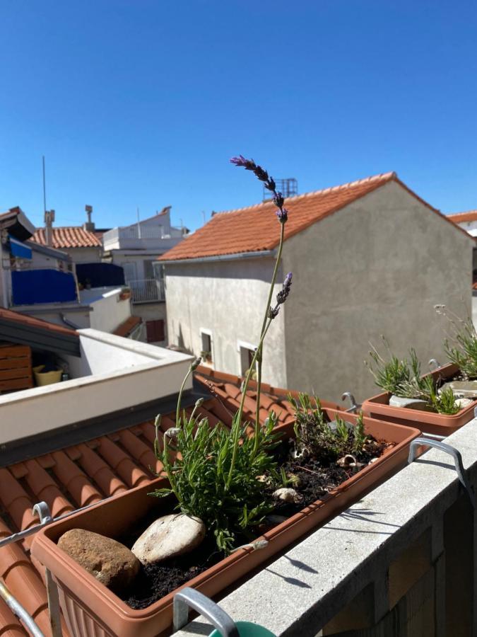 Lucy Apartment Piran-Punta Экстерьер фото